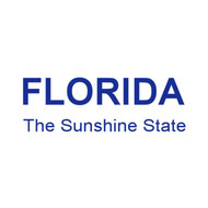florida sunshine Tee